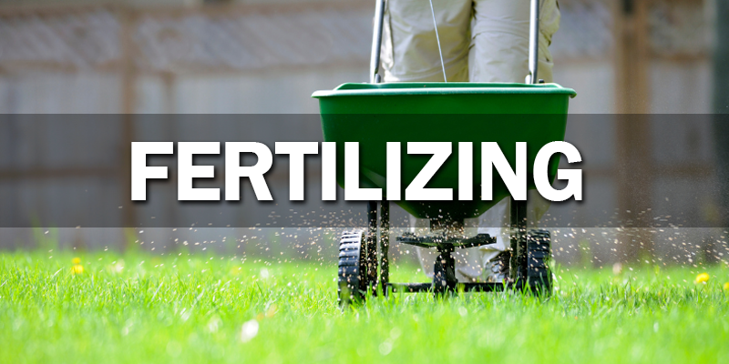 Fertilizing