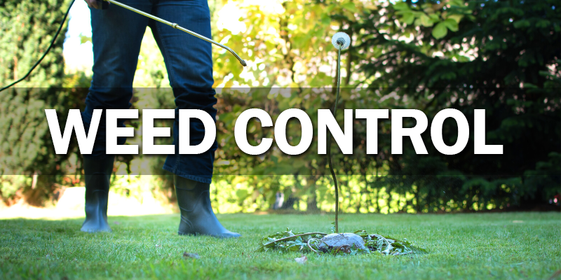 Weed Control